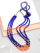 Multi Color Beaded Necklace
