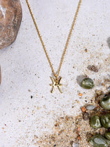The Pisces 18 K Gold Plated Pendant