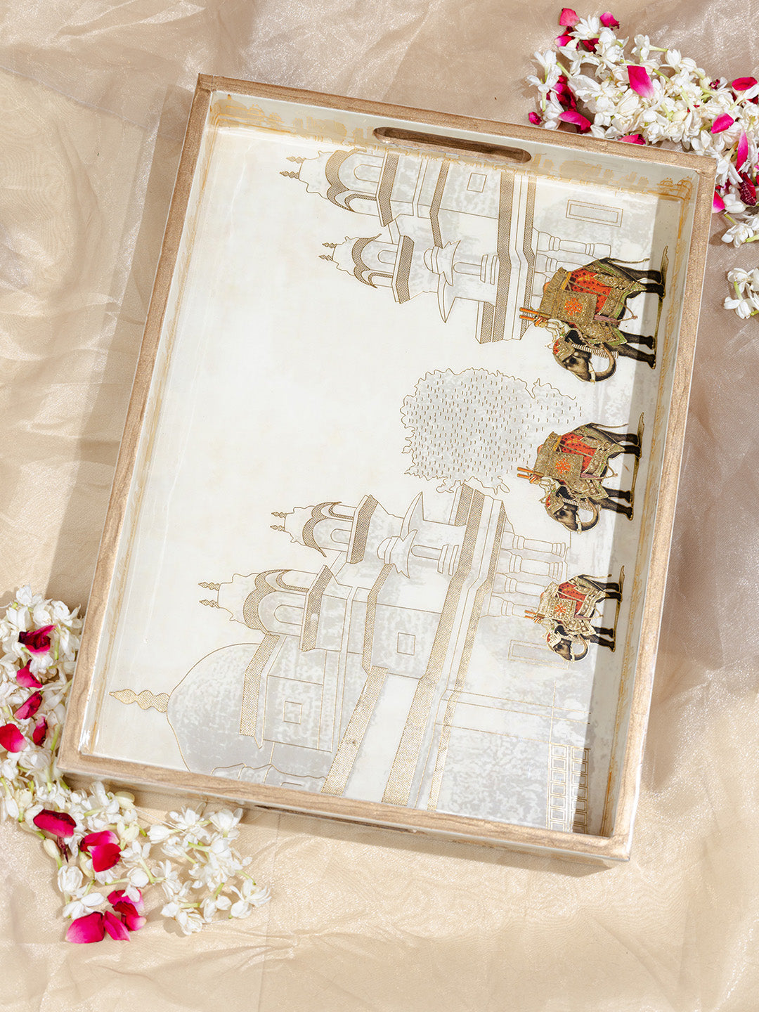 Amer Printed Large(16*12) Tray