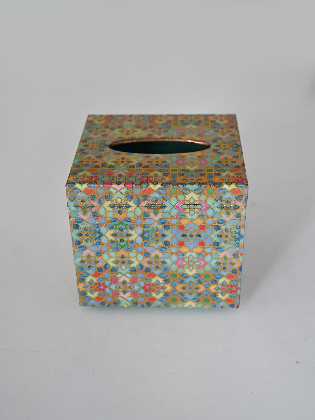 Indus Tissue Holder (Magnet)