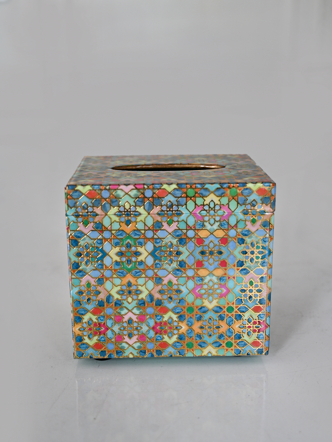 Indus Tissue Holder (Magnet)