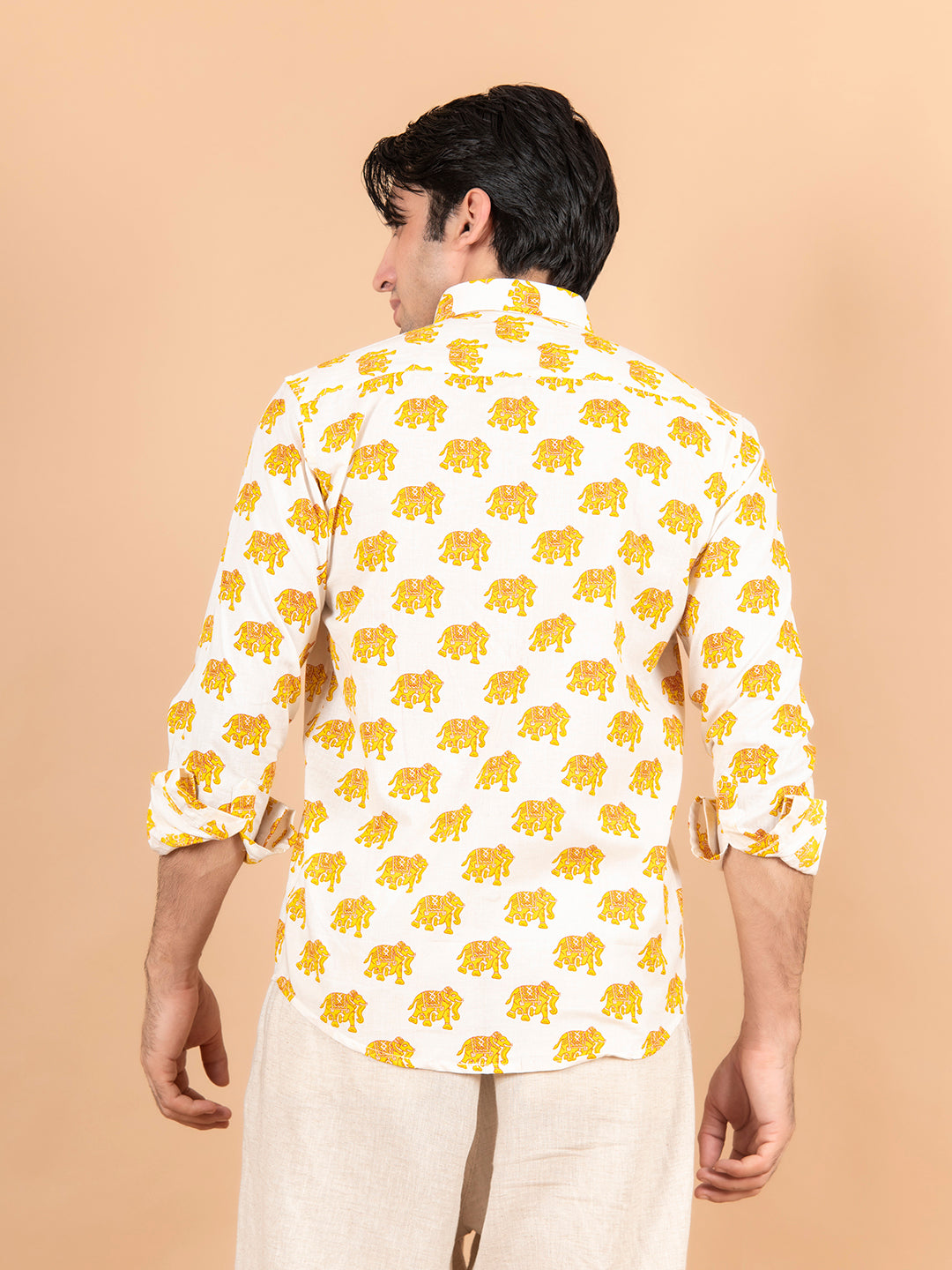 sanganeri printed shirt