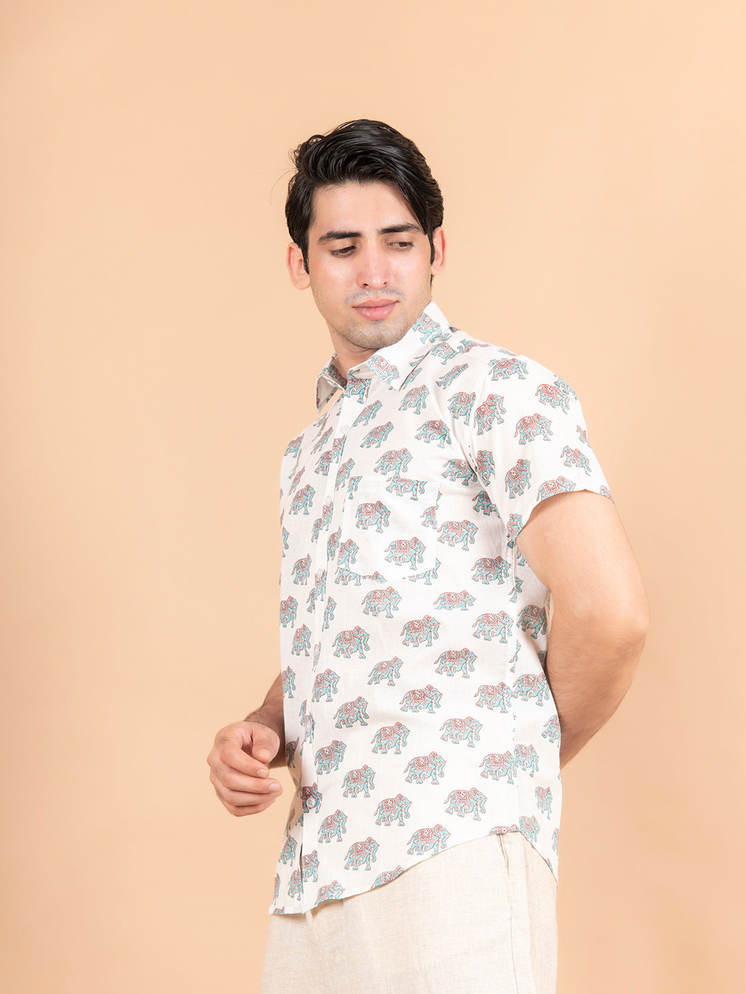 sanganeri shirt
